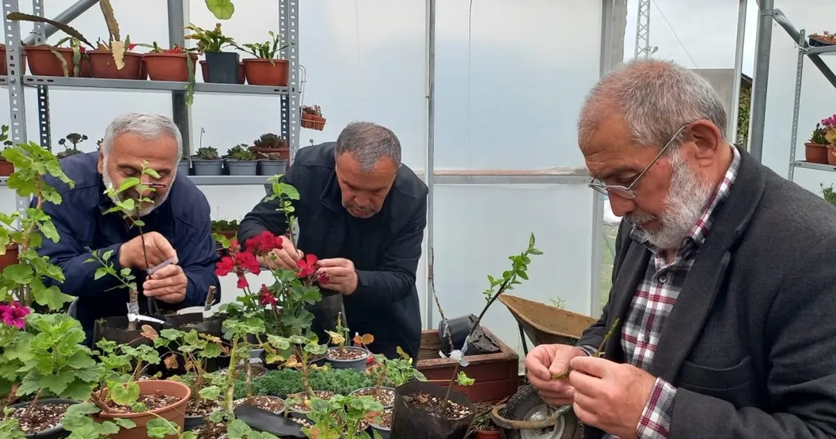 Ordu Büyükşehir Belediyesi’nin Tarımsal Hizmetler Dairesi, ORMEK ve Halk Eğitim