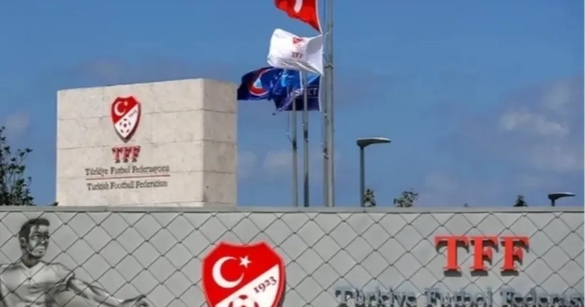 Profesyonel liglerde sezon takvimi açıklandı