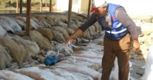 Türk Hava Kurumu (THK) Keşan Şube Başkanı Eyyup Kavazlar, 2025