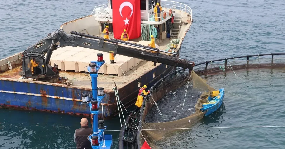 Avcılıkta artış, iç sularda düşüş!