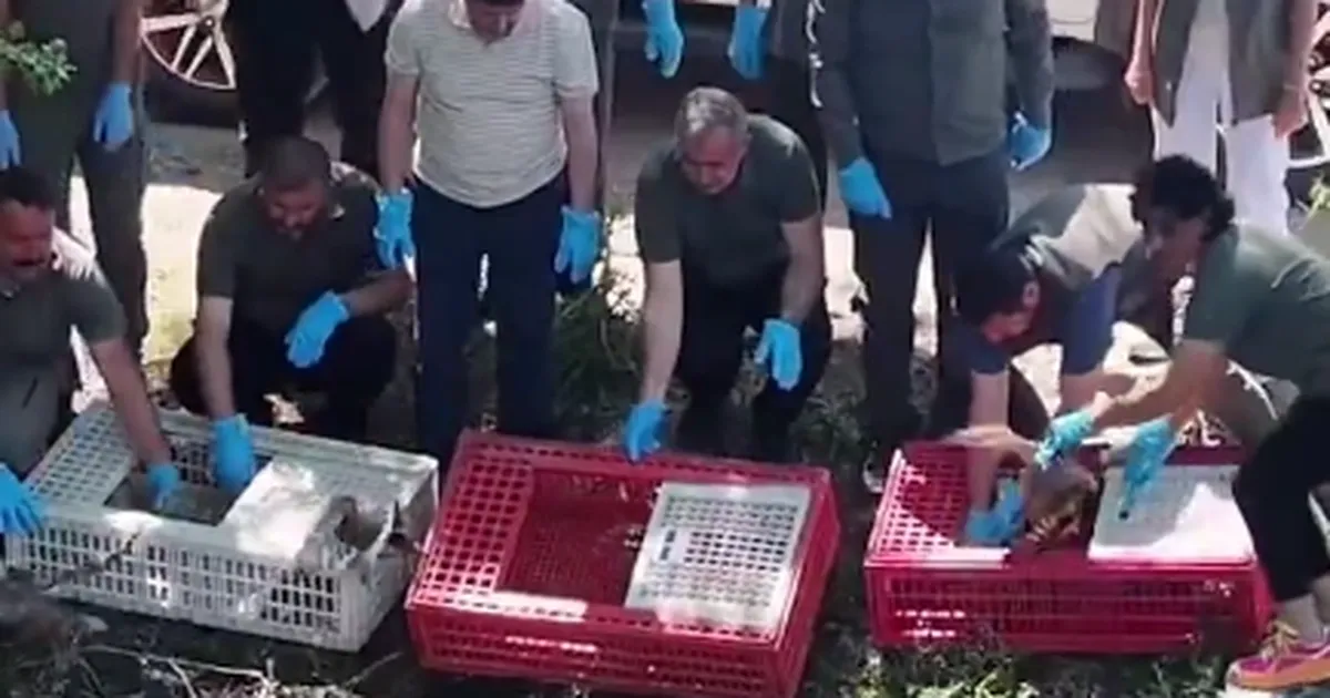 Doğa Koruma ve Milli Parklar 2. Bölge Müdürü Hacı Ahmet