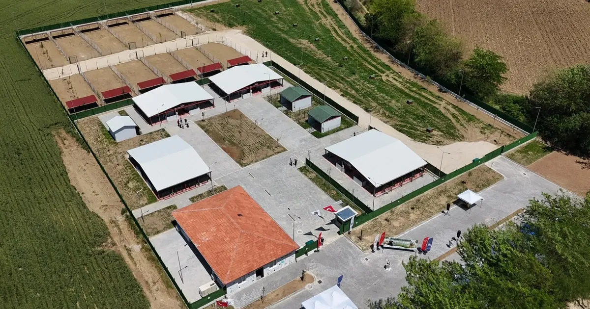 Güney Marmara’nın en modern hayvan bakımevi Bursa Yenişehir’de açıldı