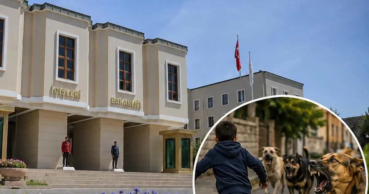 İçişleri’nden köpek saldırıları sonrası 3 belediye başkanı hakkında işlem… Muğla ve Erzurum’a soruşturma, Şanlıurfa’ya ön inceleme
