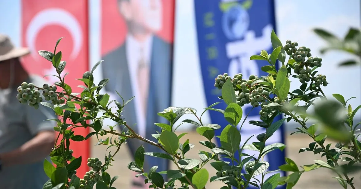 Trakya’da geleneksel tarım ürünlerinin taban fiyat tartışmaları ve alternatif arayışları