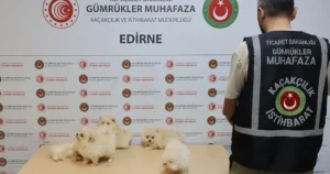 Ticaret Bakanlığı Gümrük Muhafaza ekipleri, Kapıkule Gümrük Kapısı'nda gerçekleştirdikleri operasyonda