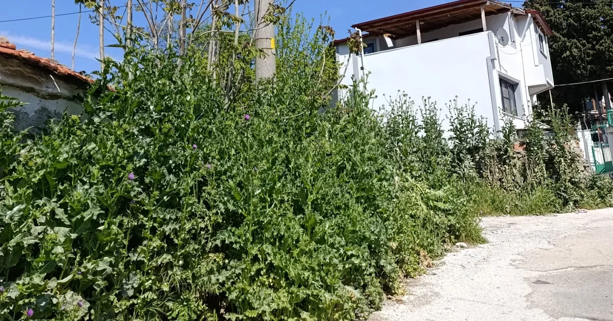 Keşan’daki Su Parkı’nda bakımsızlık tepkisi