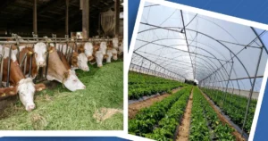 Tarım ve Orman Bakanlığı, Kırsal Kalkınma Yatırım Programı kapsamında hibe
