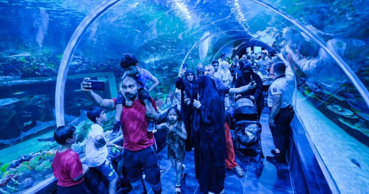 Körfez Aqua Kıtalar Akvaryumu’na yoğun ilgi