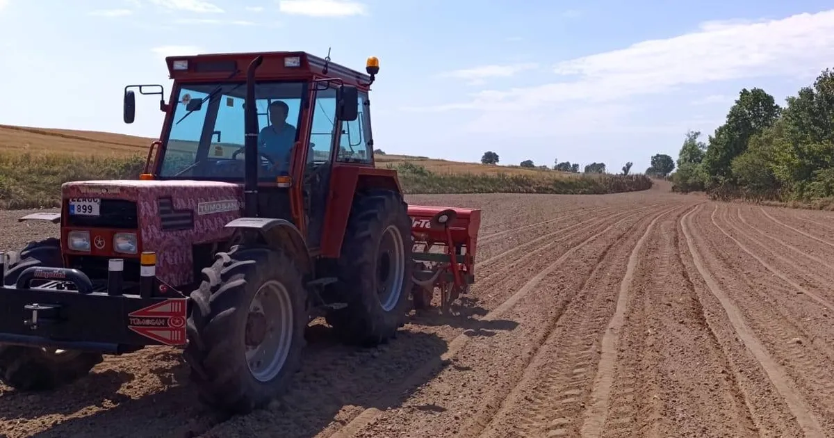 Sultanköy Kavunu’nda yeni sezon