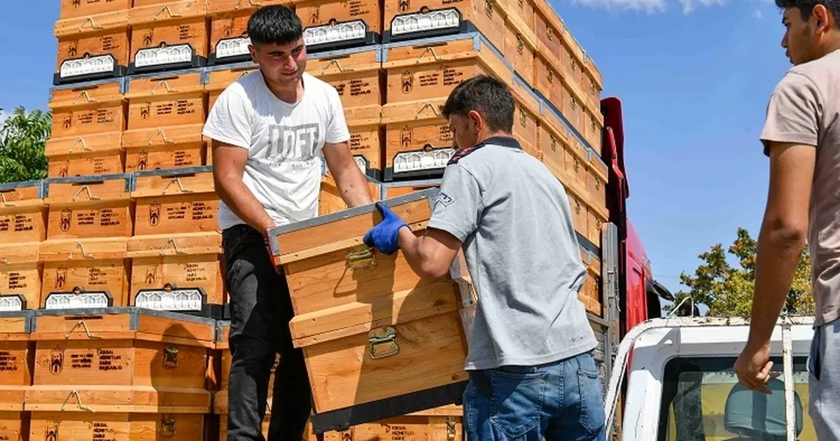 Ankara Büyükşehir’den arıcılara hibeli kovan desteği