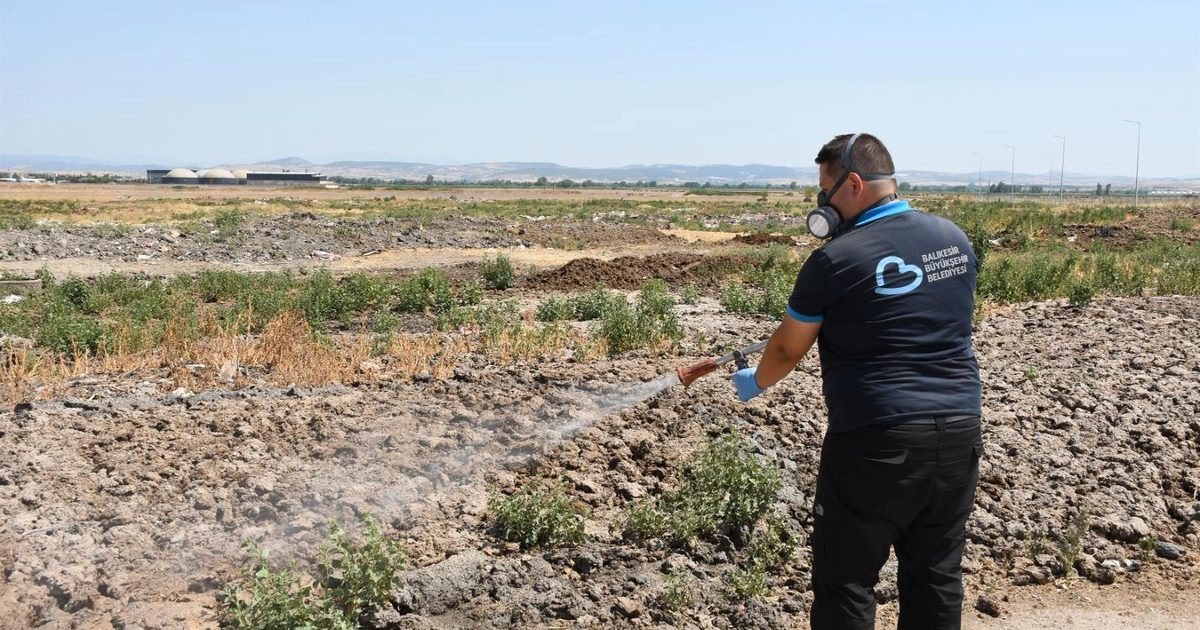 Balıkesir’de ilaçlama ekipleri 7/24 sahada