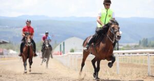 Bursa Büyükşehir Belediyesi Başkan Vekili Şahin Biba, Geleneksel Rahvan At
