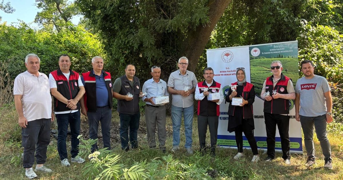 Bursa’da 5 bin Samuray Arısı doğaya salındı