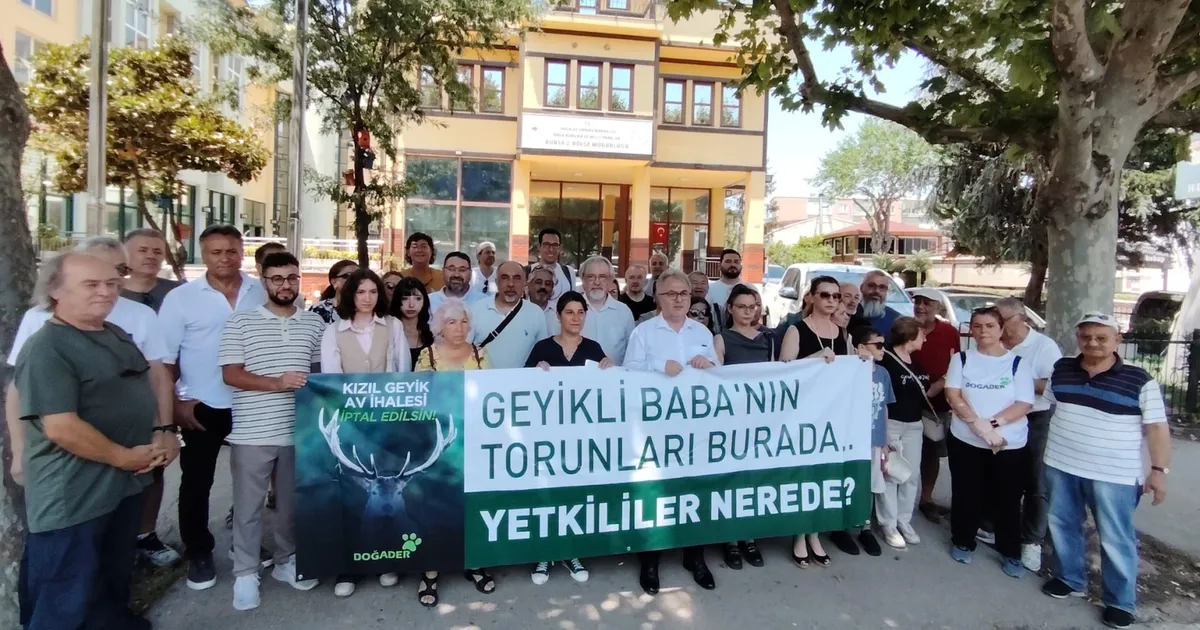 Bursa’da kızıl geyiklerin av ihalesine tepki! Doğa ihale edilemez
