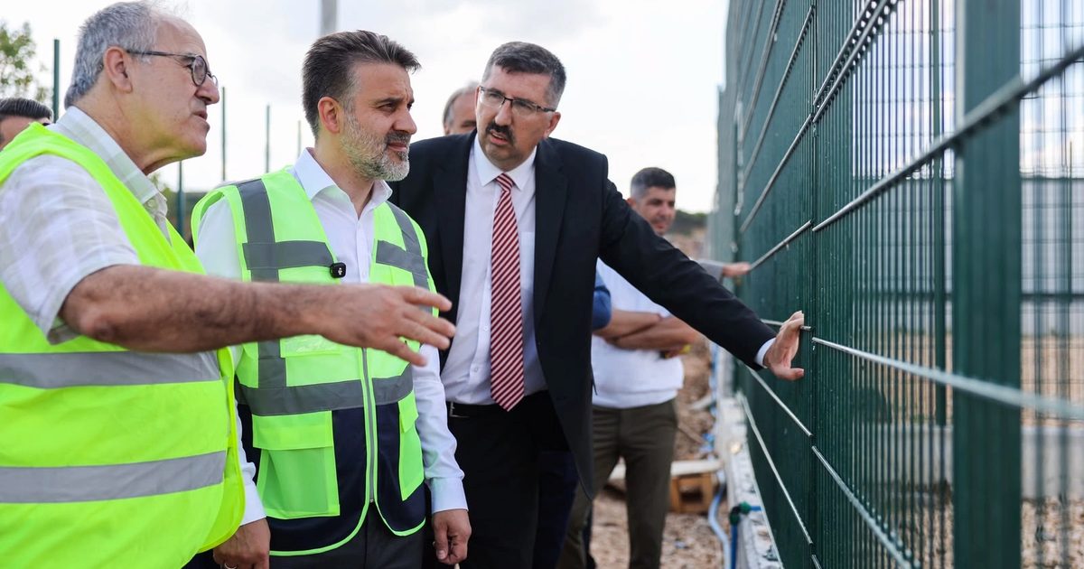 Bursa’da sokak hayvanları için doğal yaşam alanı