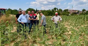Edirne Keşan’da etkili olan fırtına ve aşırı yağışların ardından tarım