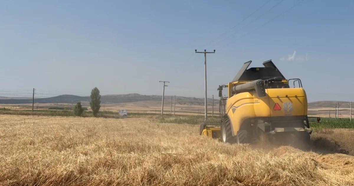 Eskişehir’de 77 tonluk arpa hasadı
