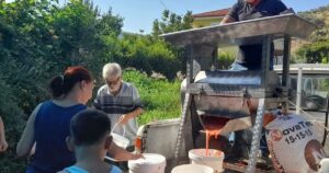 İzmir Efes Selçuk Belediyesi, yaz mevsiminin vazgeçilmezi olan salça yapımını
