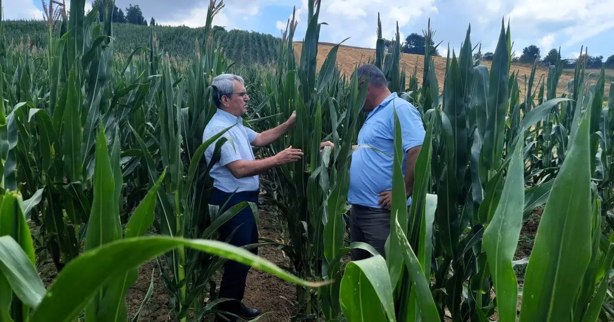 Kocaeli Büyükşehir her alanda çiftçinin yanında