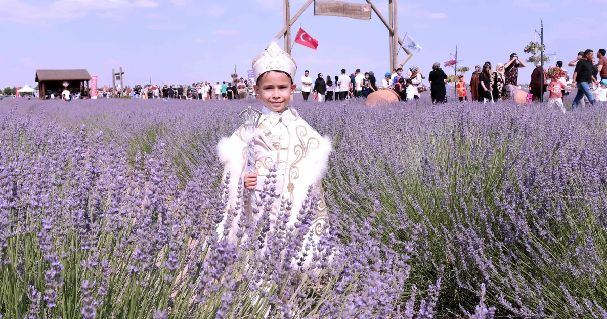 Konya Karatay’da Lavanta Bahçesi’nde festival hazırlığı