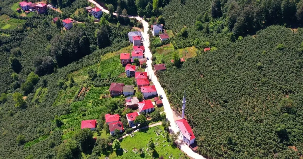 Köy yollarına beton destek