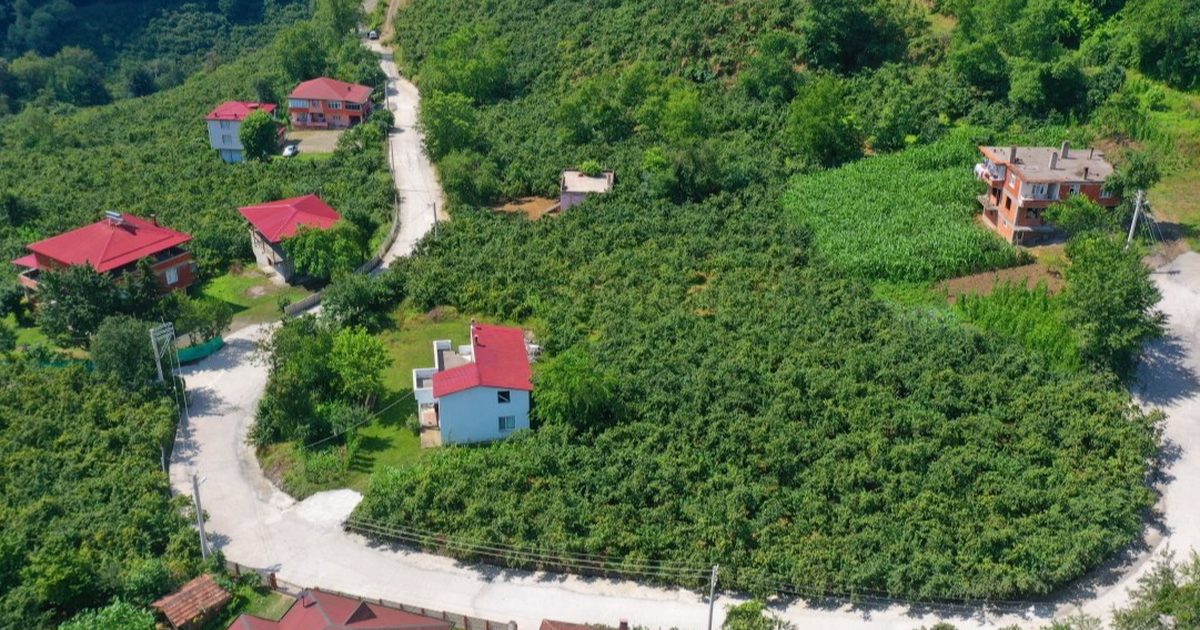 Ordu’da kırsal mahallelere beton yol konforu