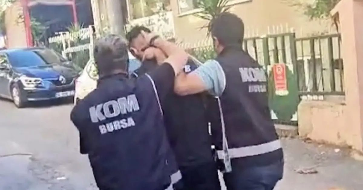 Suç örgütlerini övenlere operasyon