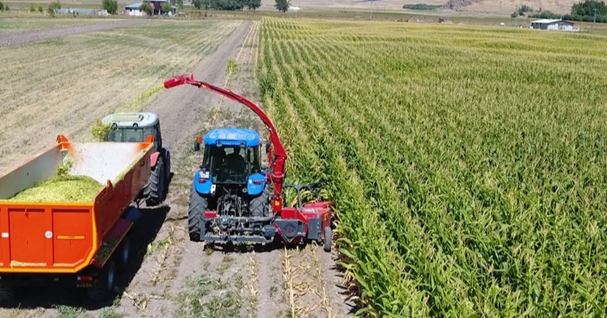 Tarım ve hayvancılıkta Erzurum modeli