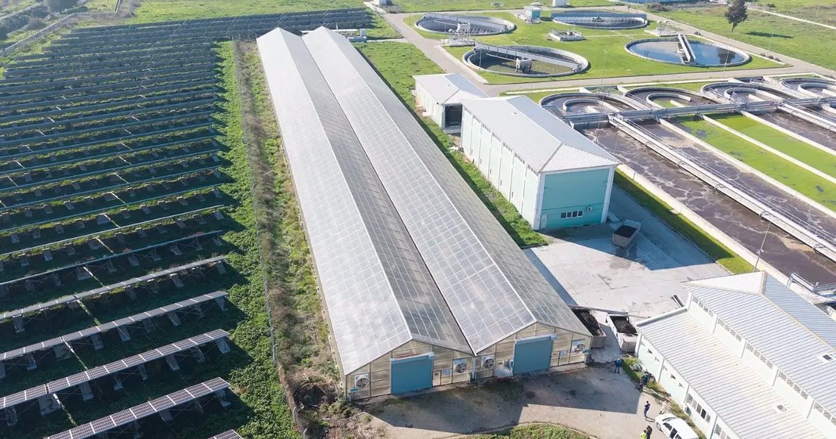 Türkiye’de öncü proje: Arıtma çamuru enerjiye ve toprak düzenleyiciye dönüşecek