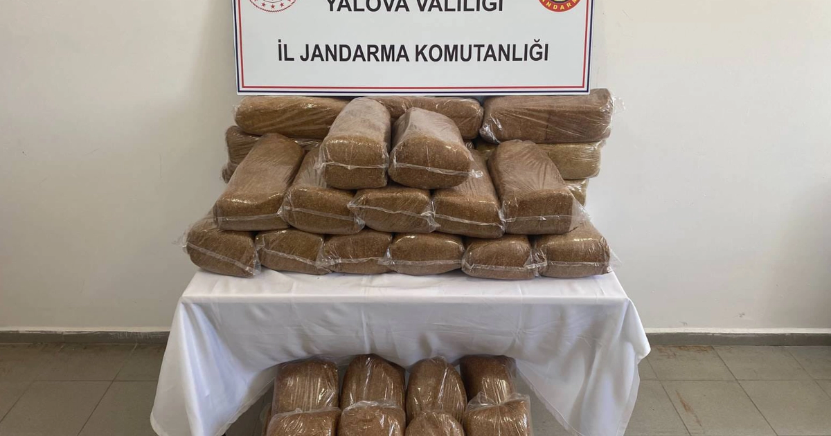 Yalova’da 160 kilogram bandrolsüz tütün ele geçirildi