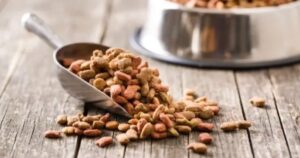 Yeni bir bilimsel inceleme, besin açısından dengeli vegan köpek maması,