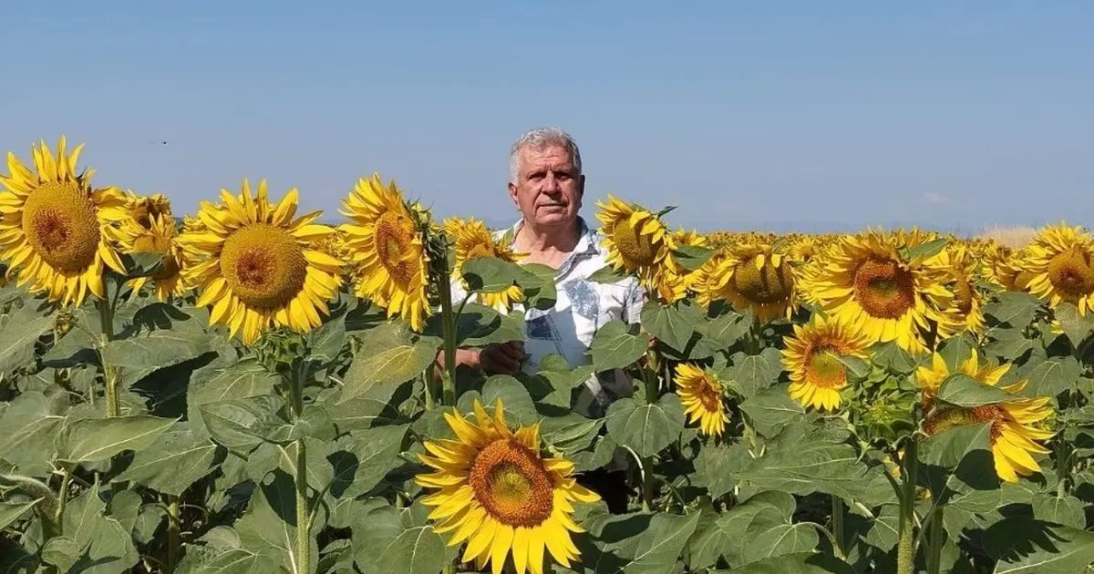 Ayçiçeği ve pirinç ithalatına Edirne’den tepki