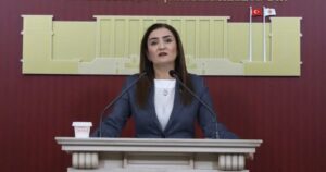 CHP Grup Başkanvekili Sevda Erdan Kılıç, Milli Dayanışma ve Toplumsal