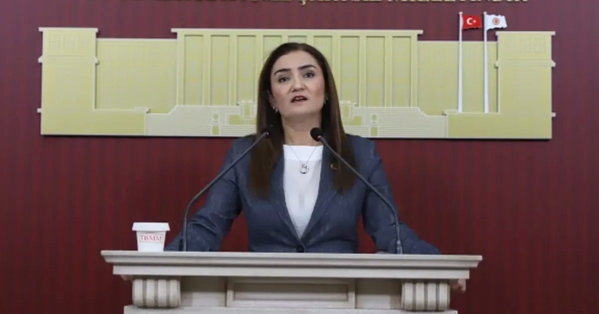 CHP Grup Başkanvekili Kılıç’tan ‘silahsızlanma’ vurgusu