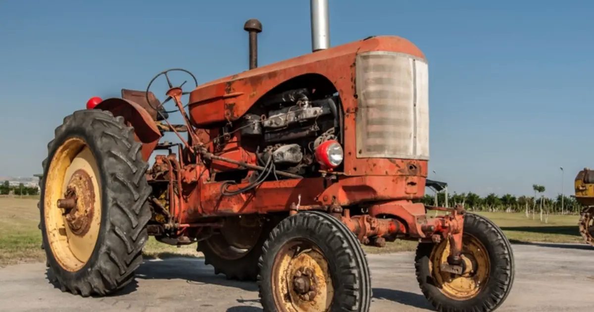 Edirne tarımı buğday ve ayçiçeğine sıkıştı!