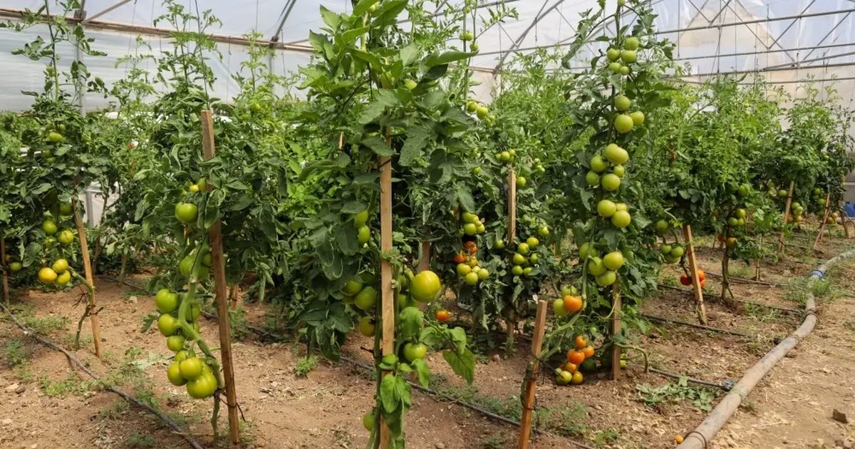 Eskişehir’de Çiftçi Destekleme ve Eğitim Merkezi kuruluyor