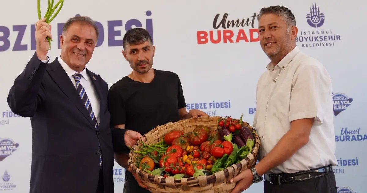 İstanbul’da çiftçilere ücretsiz kışlık sebze fidesi
