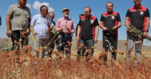 Kayseri Kocasinan Belediyesi, tarımsal üretimin çeşitlendirilmesi, arıcılığın geliştirilmesi ve çiftçilerin