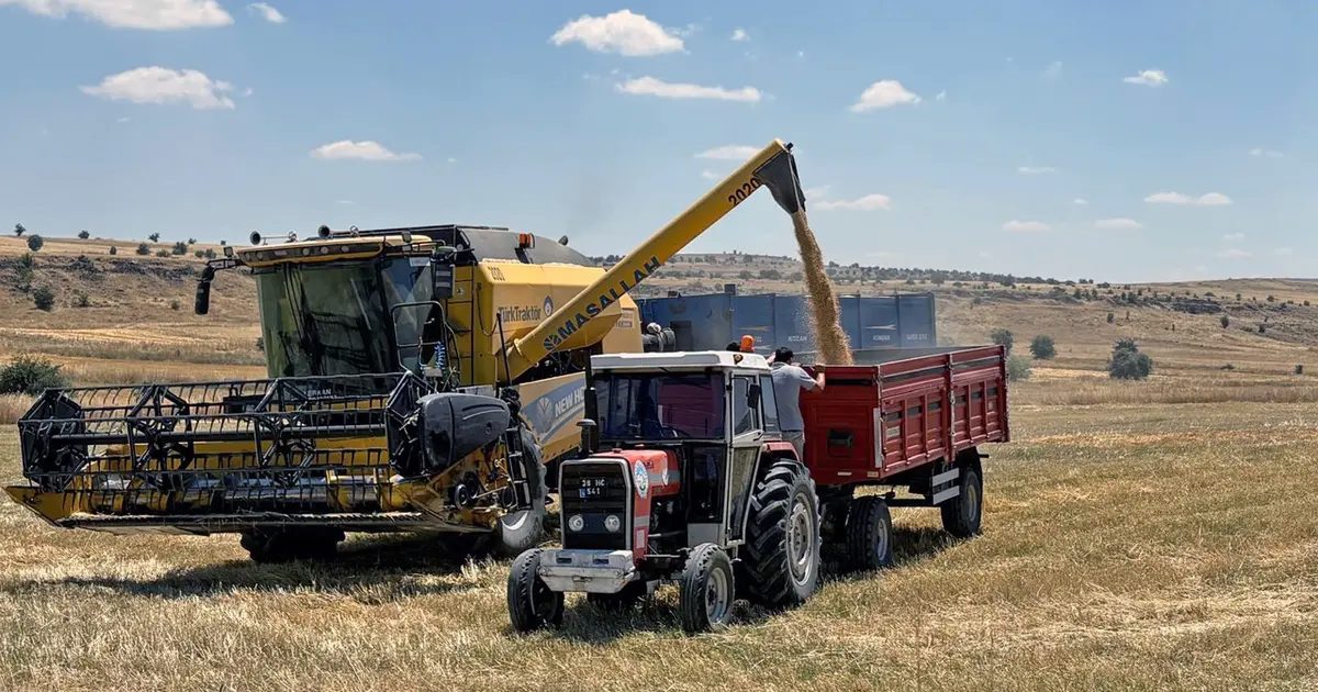 Kayseri Talas’ta can dostlara yem desteği