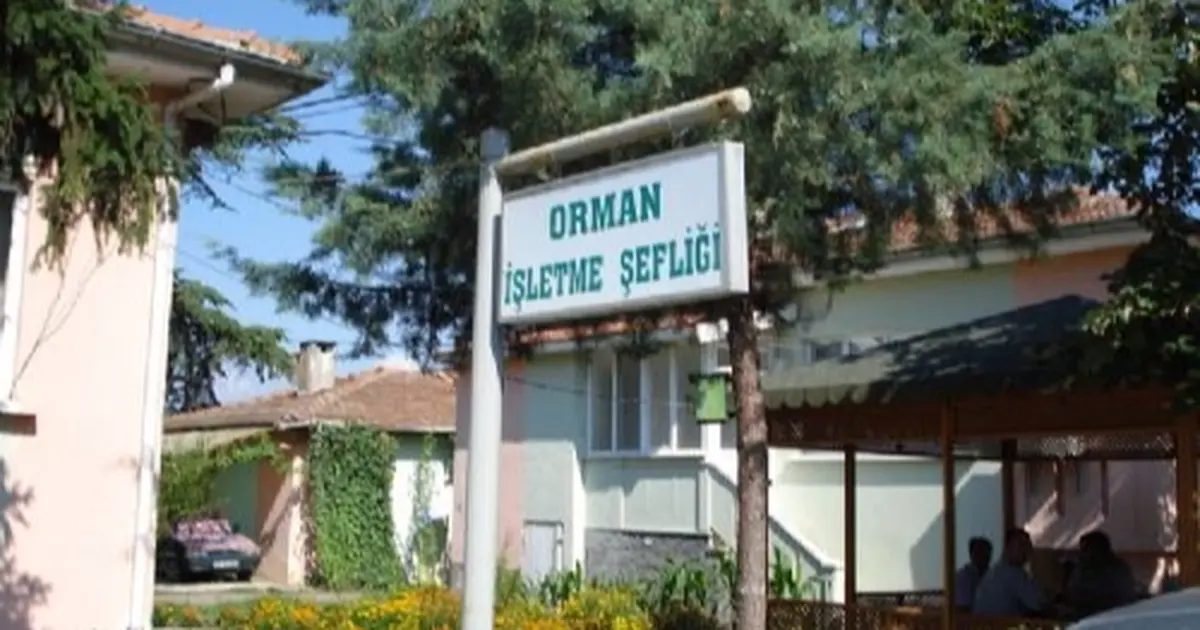 Kepsut’a Orman İşletme Müdürlüğü kuruluyor