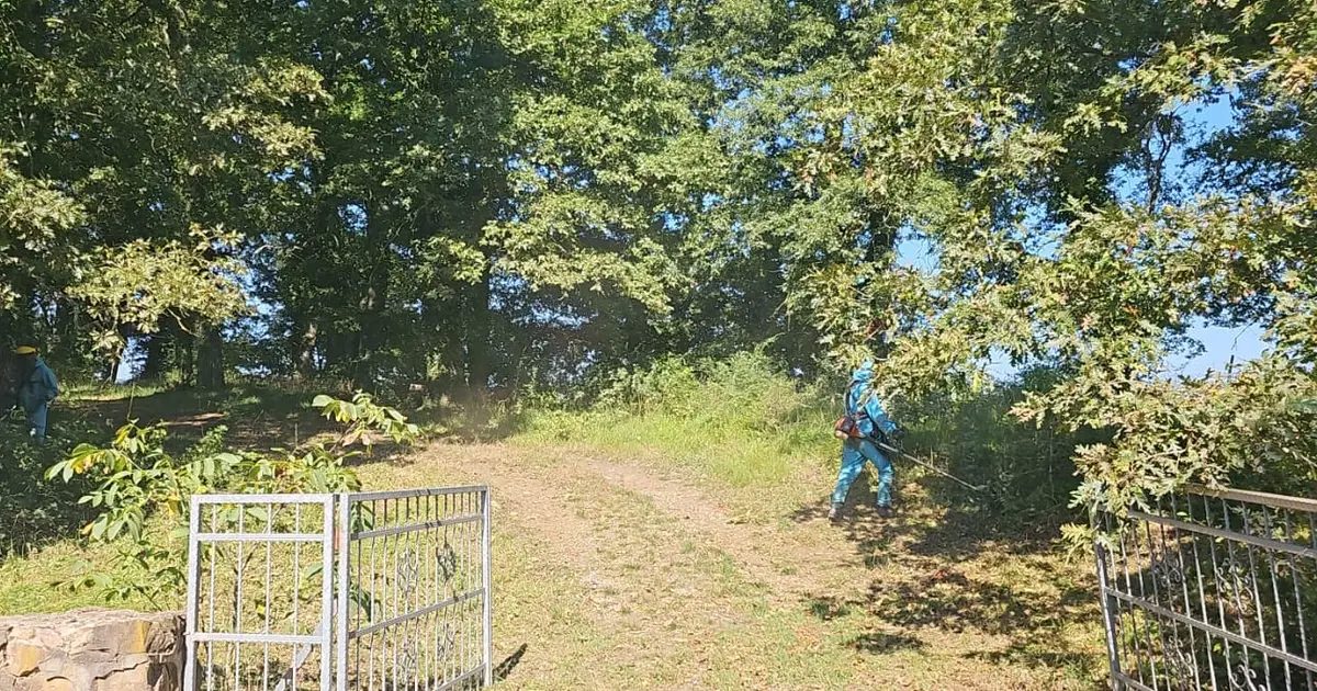 Kocaeli Derince’de mezarlıklara titiz bakım