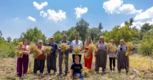 Mersin Büyükşehir Belediyesi Tarımsal Hizmetler Dairesi Başkanlığı, yerel tohumların gelecek