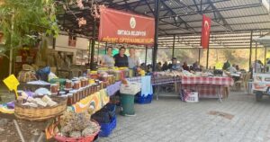 Muğla Büyükşehir Belediyesi ile Ortaca Belediyesinin iş birliğinde, kadın üreticilerin
