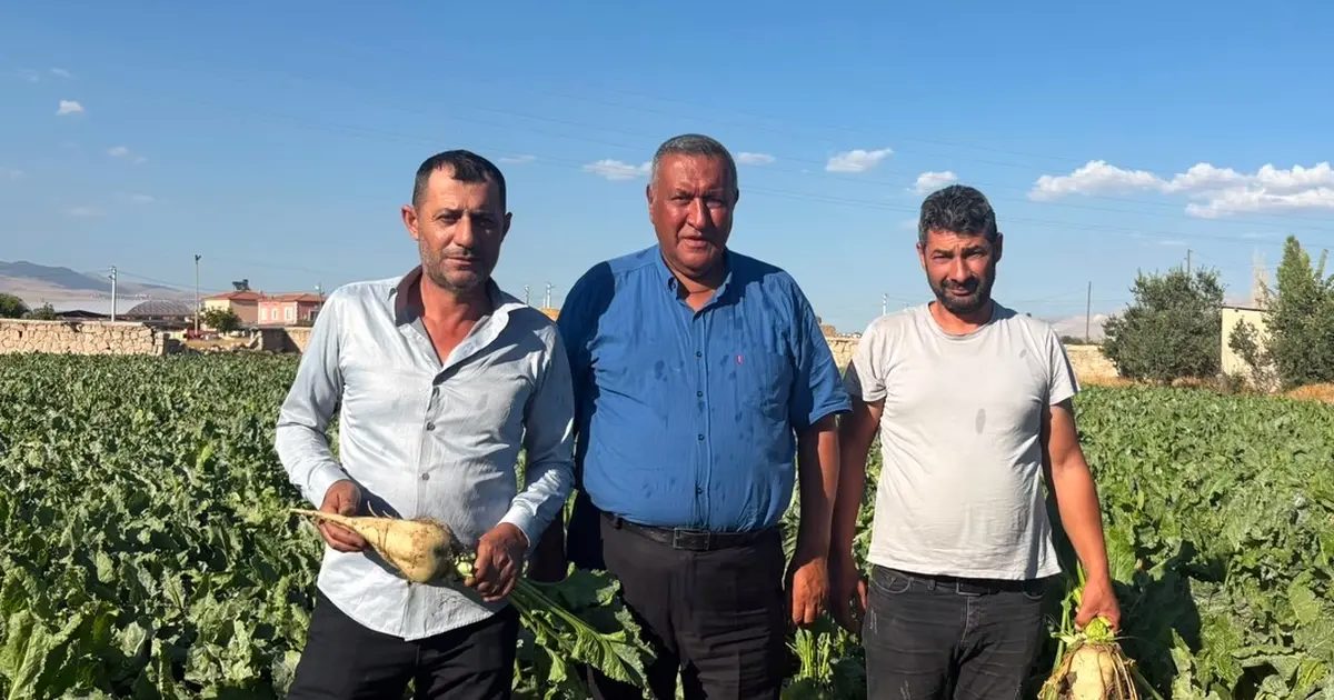 Ömer Fethi Gürer pancar üreticilerinden beklentilerini dinledi