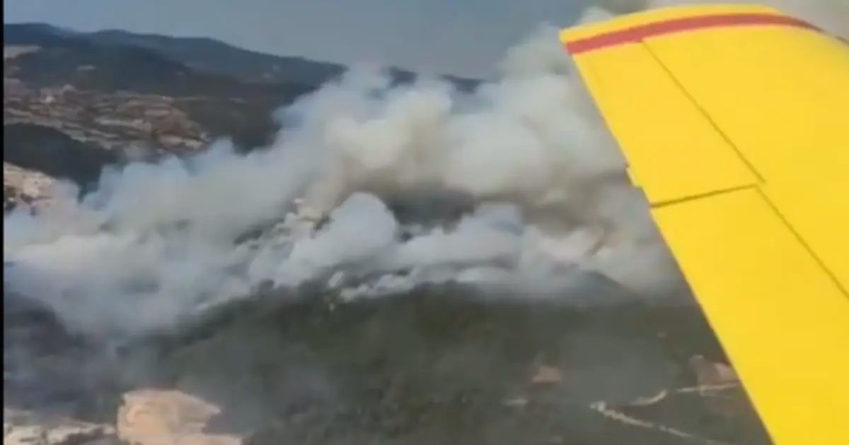 Sındırgı’da orman yangını! 6 uçak ve 6 helikopter havada