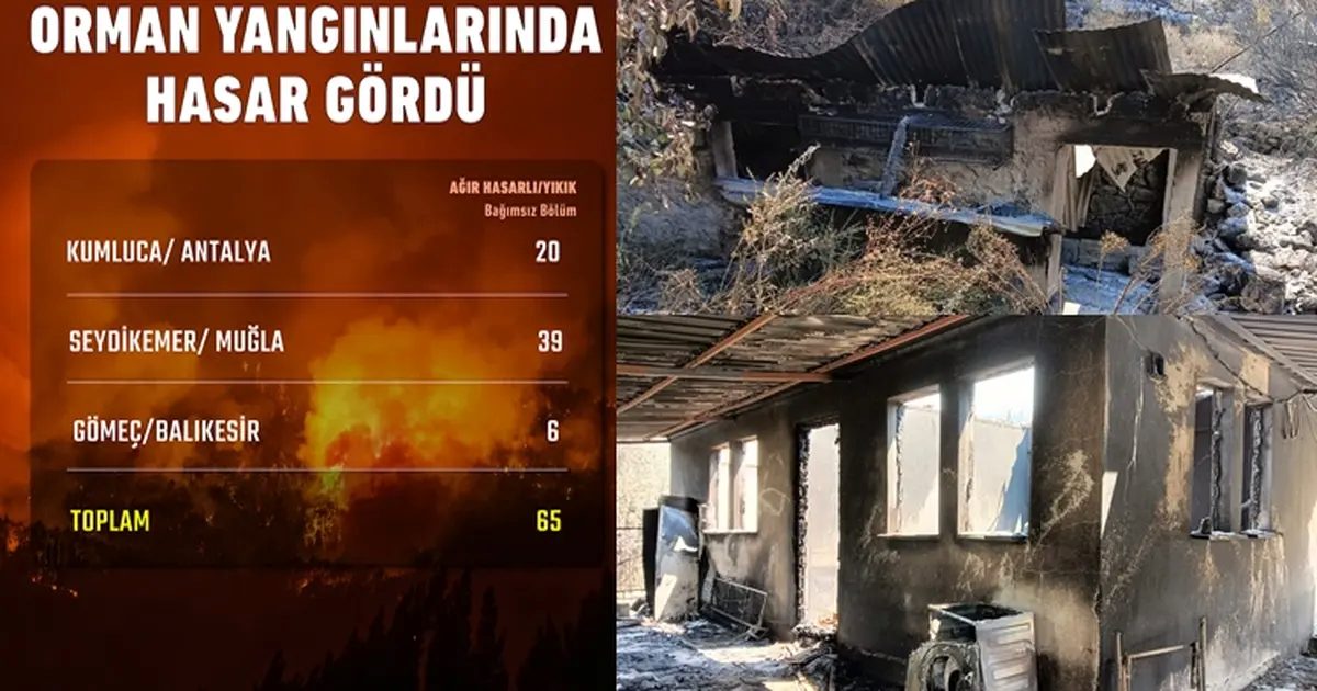 Son orman yangınlarında hasar ne kadar?