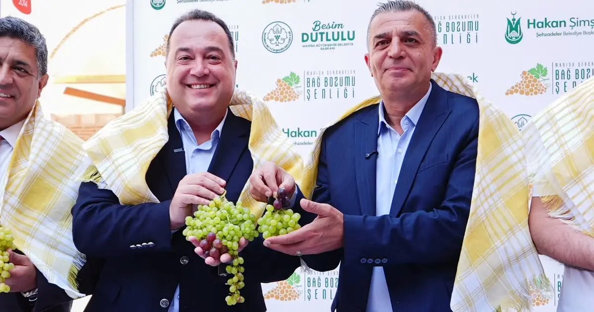 Üzümün başkenti Manisa bağbozumuna hazır