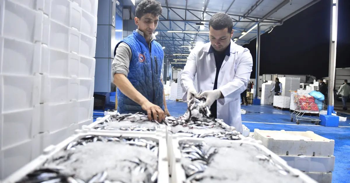 Ankara Büyükşehir Belediyesi, yeni balık sezonunun başlamasıyla birlikte Ankara Toptancı