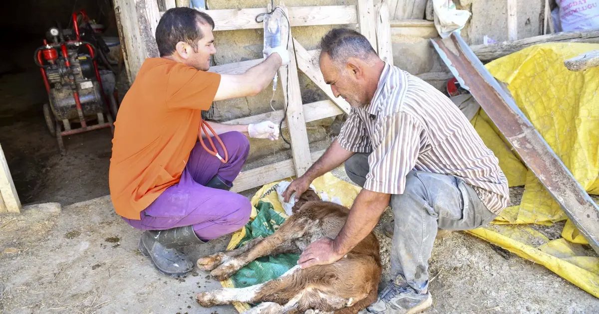 Ankara Büyükşehir Belediyesi’nin küçük aile işletmelerini desteklemek amacıyla hayata geçirdiği
