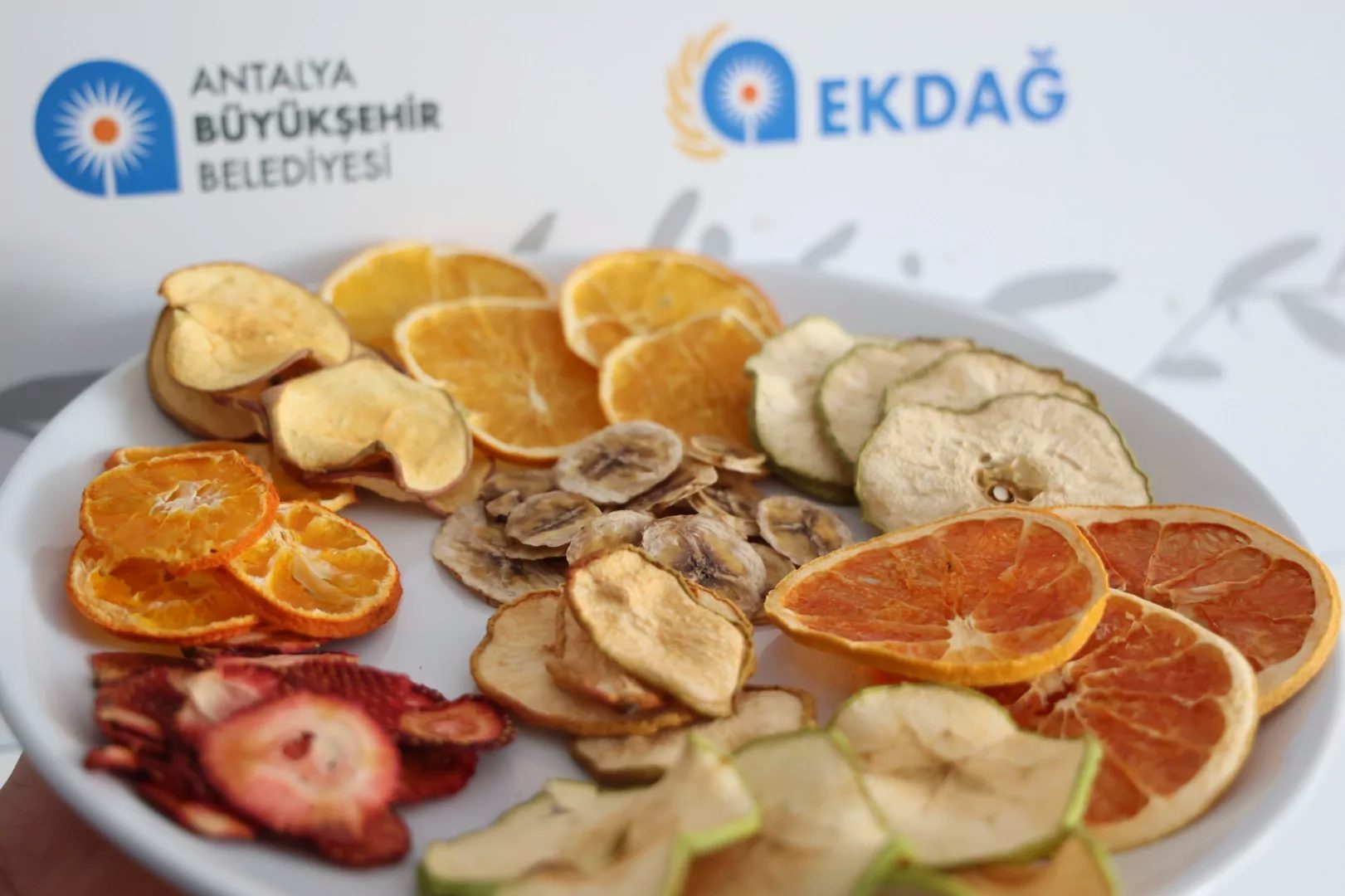 Antalya Büyükşehir Belediyesi Korkuteli ilçesinde 15 bin 500 metrekarelik alana
